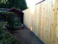 8 ft cedar privacy fence #3