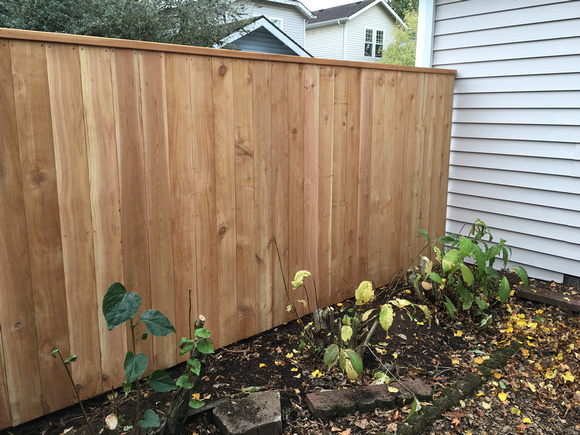short 6 ft cedar privacy fence #2