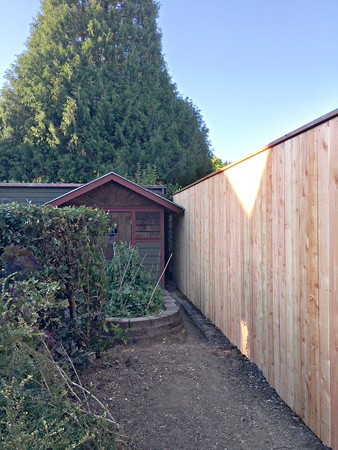 8 ft cedar privacy fence #4