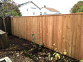short 6 ft cedar privacy fence #3