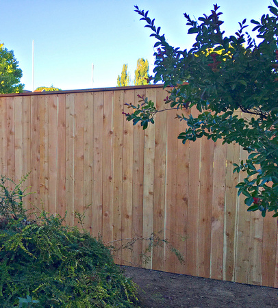 8 ft cedar privacy fence #1