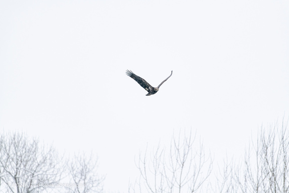 DSC_0942-Edit