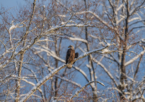 DSC_1118-Edit