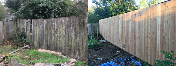 fence dunya before after 3