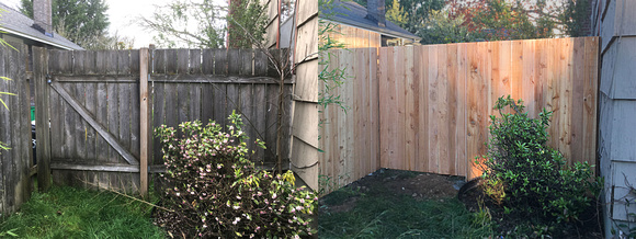 fence dunya before after 1