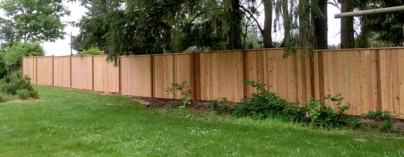 barb fence 1